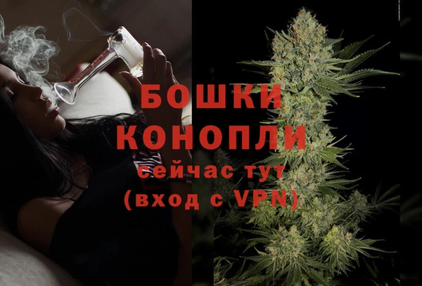 прущие грибы Михайловка