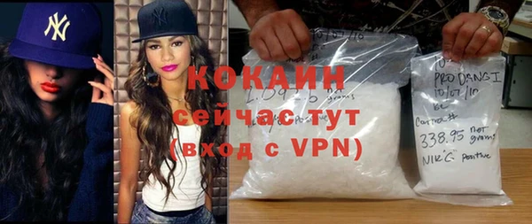 прущие грибы Михайловка