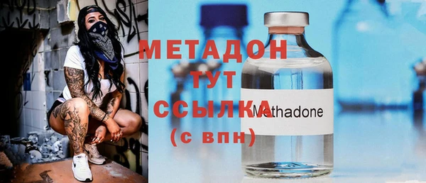 прущие грибы Михайловка