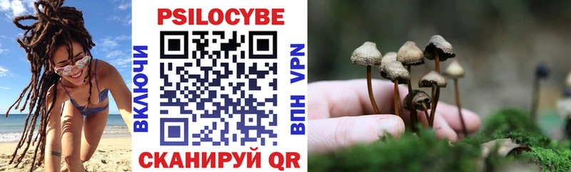 Псилоцибиновые грибы Magic Shrooms  магазин продажи наркотиков  Тырныауз 